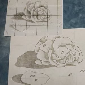 Meet your Posher, Logan